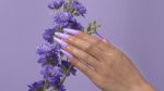 Gel Polish Violet Kiss – Image 4