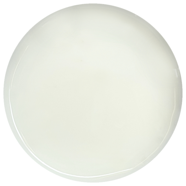 Invicta White - Image 2